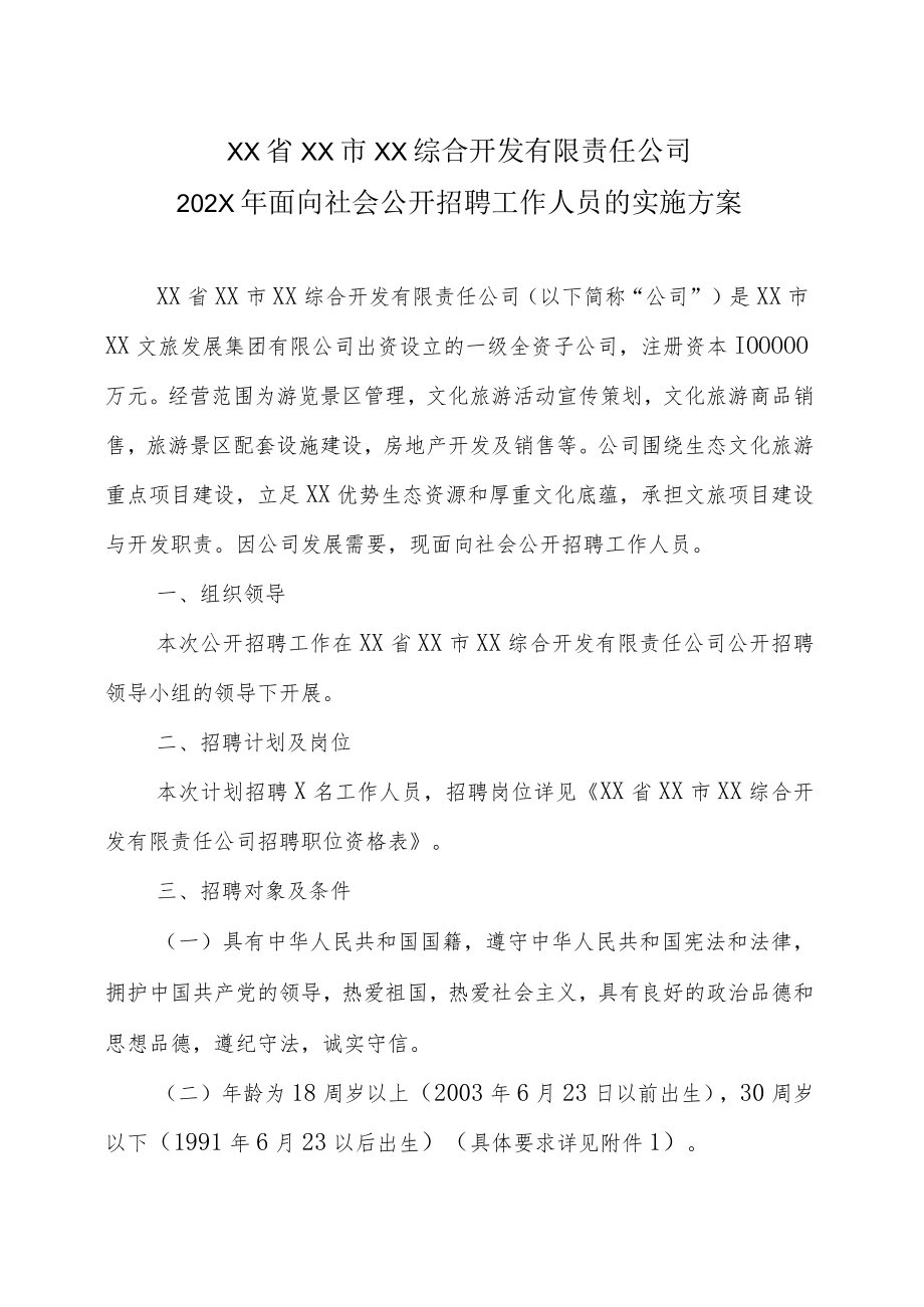 XX省XX市XX综合开发有限责任公司202X年面向社会公开招聘工作人员的实施方案.docx_第1页