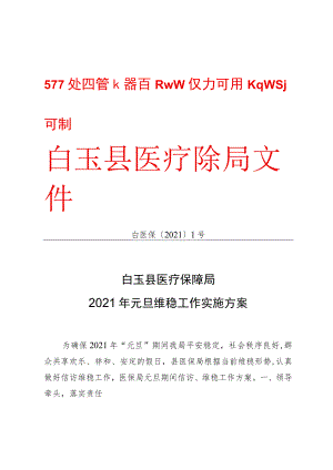 白医保〔2021〕1号白玉县医疗保障局2021年元旦维稳工作实施方案.docx