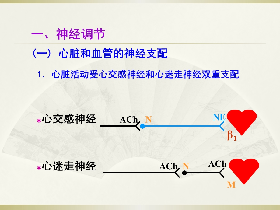 生理学循环系统.pptx_第3页