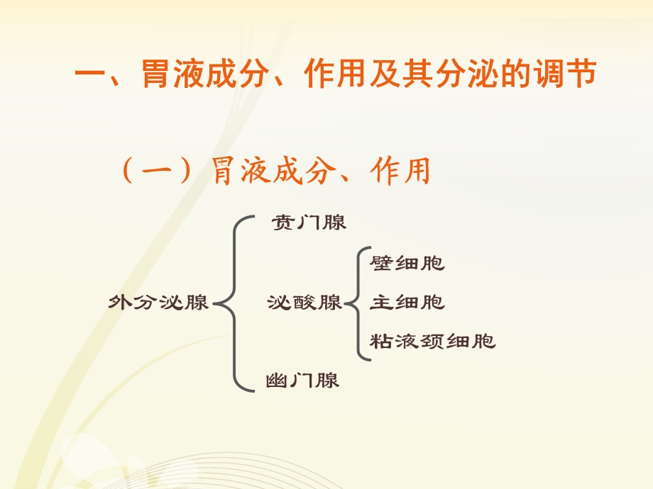 生理学胃内消化.pptx_第3页