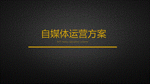 自媒体运营方案.pptx