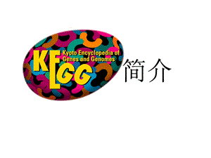 KEGG数据库简介.pptx