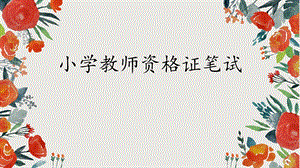 小教教师资格证的介绍.pptx