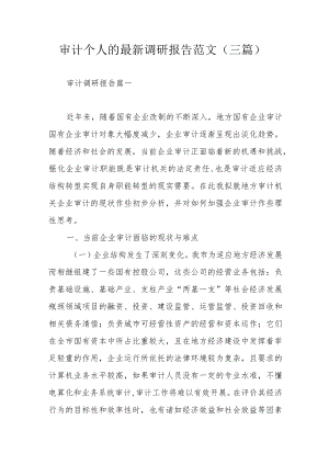 审计个人的最新调研报告范文（三篇）.docx