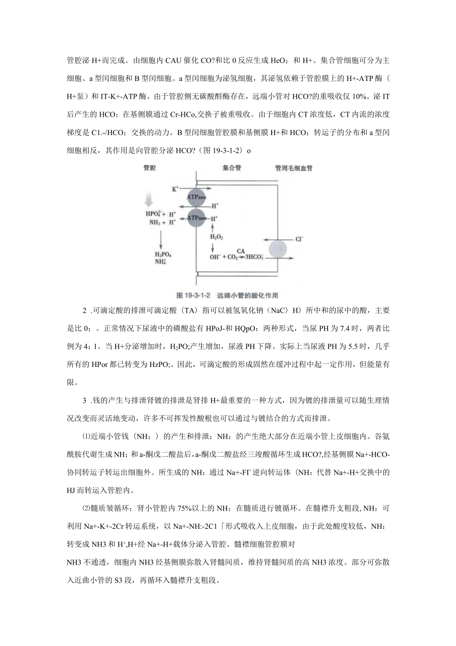 酸碱平衡紊乱诊疗规范2023版.docx_第3页