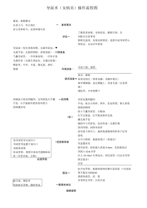 女病人导尿技术操作规范流程图.docx