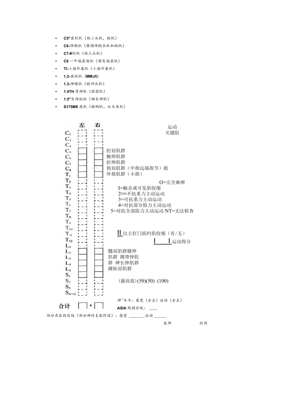 康复医学脊髓损伤评定表.docx_第2页