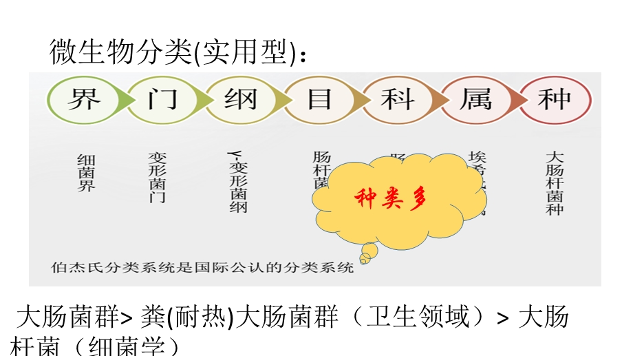 化妆品中的微生物.pptx_第3页