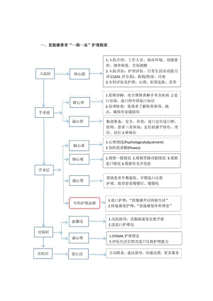 肛肠外科直肠癌”一病一品“.docx