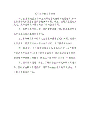 党小组书记安全职责.docx