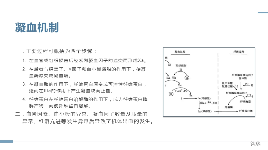 止血药的临床应用.pptx_第3页