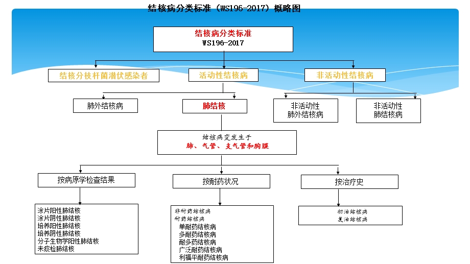 结核病诊断标准解读.pptx_第3页