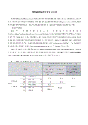 肾病科慢性肾脏病诊疗规范2023版.docx