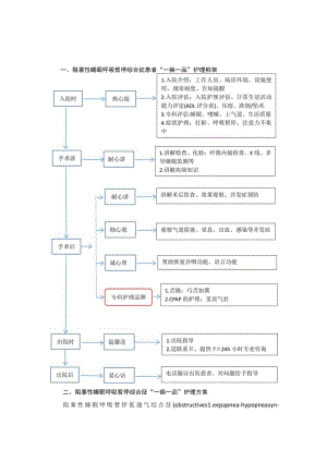 耳鼻喉科阻塞性睡眠呼吸暂停综合征“一病一品”.docx