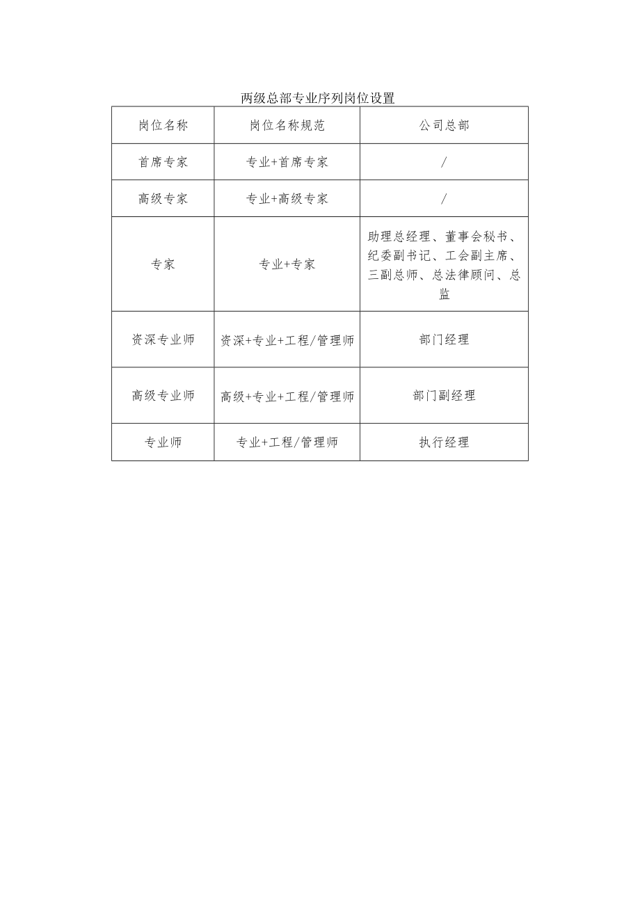 两级总部专业序列岗位设置.docx_第1页