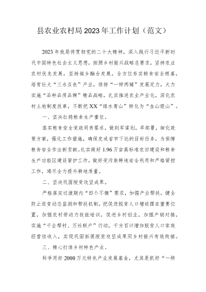 县农业农村局2023年工作计划 （范文）.docx