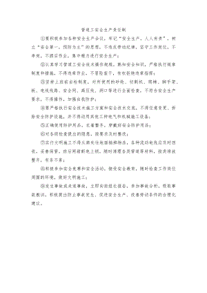 管道工安全生产责任制.docx