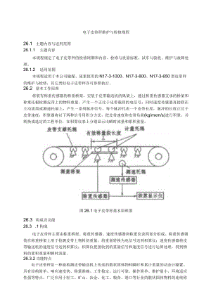 仪表自动化控制岗位维护操作规则-电子皮带秤维护与检修规程.docx