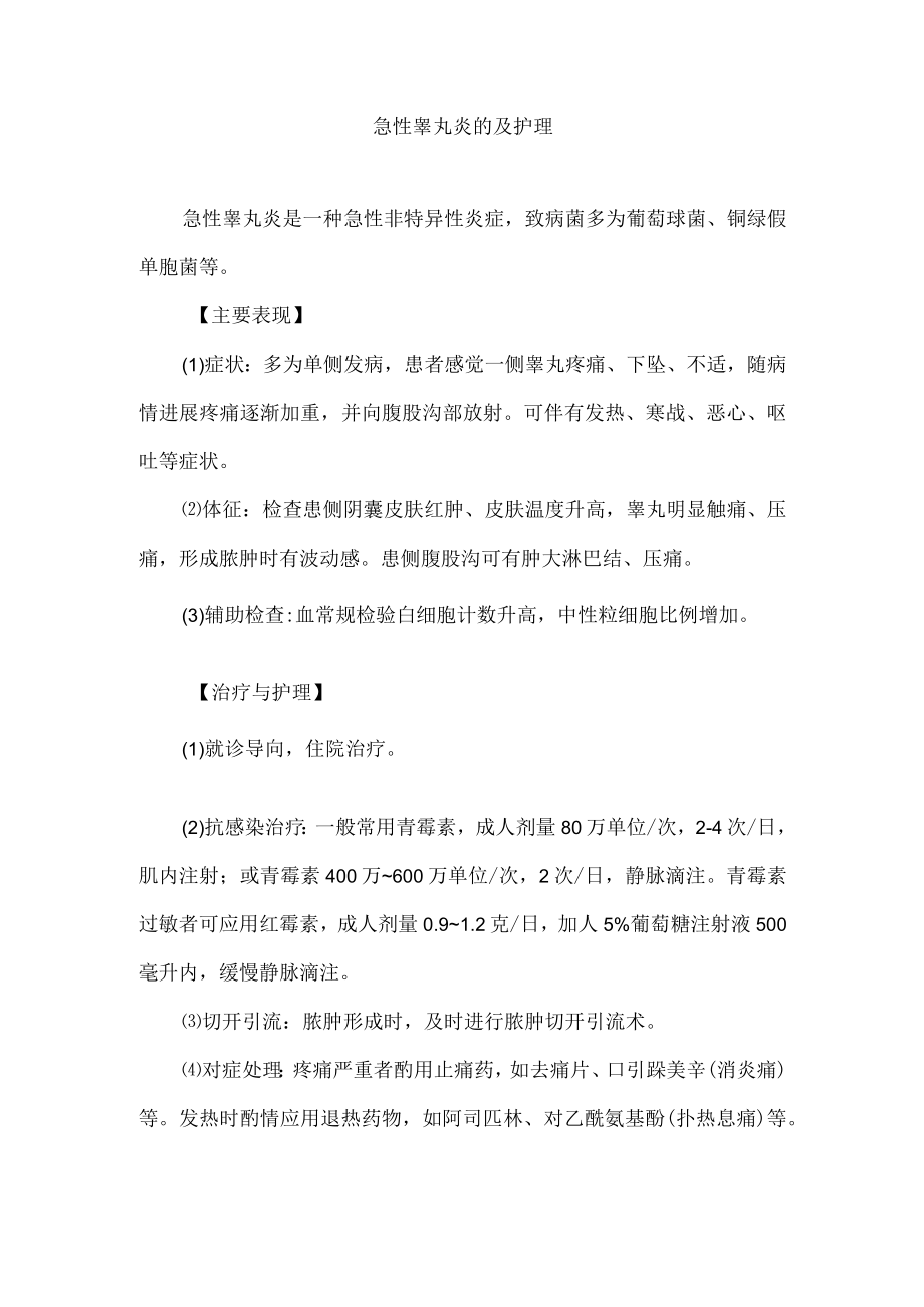 急性睾丸炎的及护理.docx_第1页