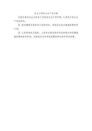 总会计师安全生产责任制.docx