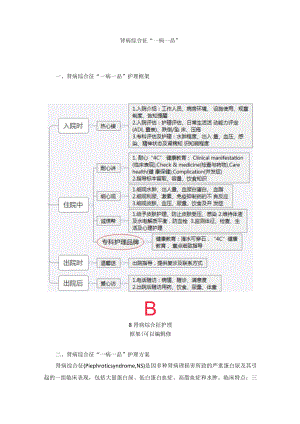 肾病科肾病综合征“一病一品”.docx