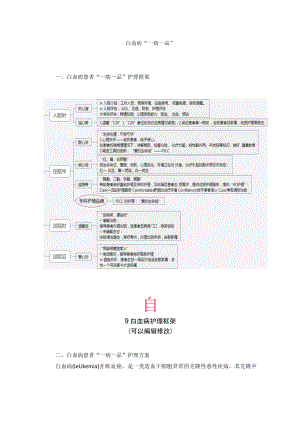 血液病科白血病“一病一品”.docx