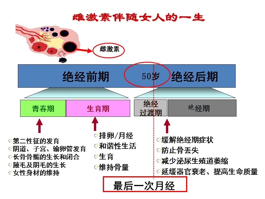 异常子宫出血PPT医学课件.pptx_第2页