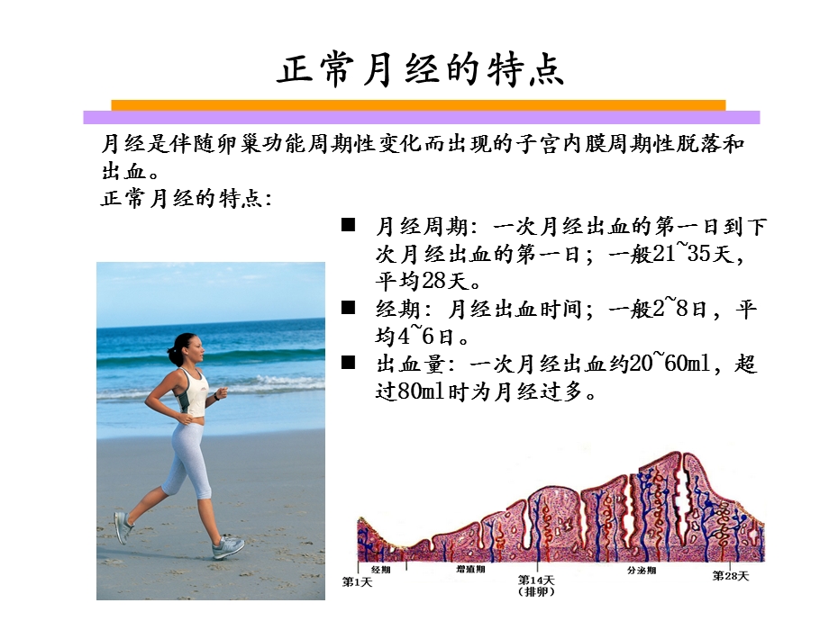 异常子宫出血PPT医学课件.pptx_第3页