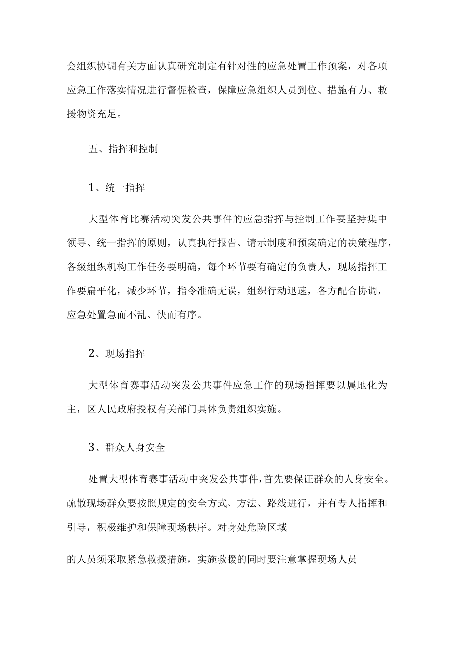 大型体育活动应急预案.docx_第3页