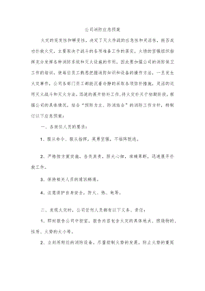 公司消防应急预案.docx