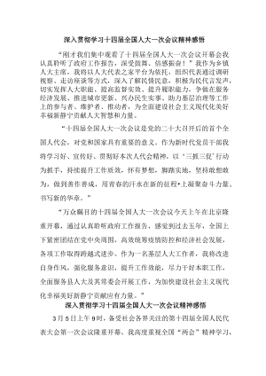 公安派出所深入贯彻学习十四届全国人大一次会议心得体会感悟（新编4份）.docx