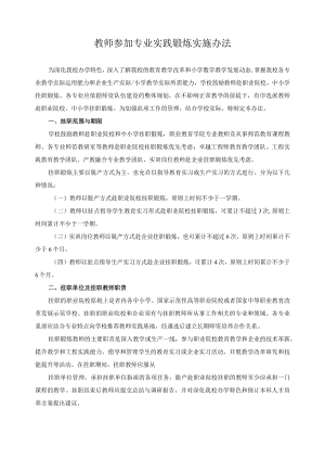 教师参加专业实践锻炼实施办法.docx