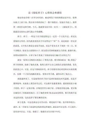 公立学生读《骆驼祥子》心得体会和感悟.docx