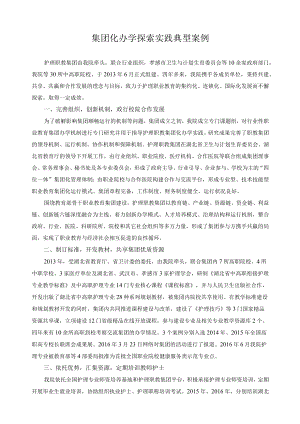 集团化办学探索实践典型案例.docx