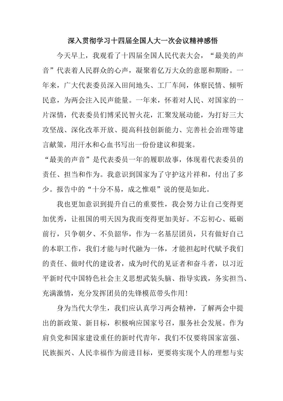 公安派出所民警深入贯彻学习十四届全国人大一次会议精神感悟（4份）.docx_第1页