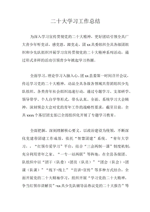 二十大学习工作总结.docx