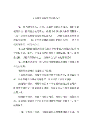 大学预算绩效管理实施办法.docx