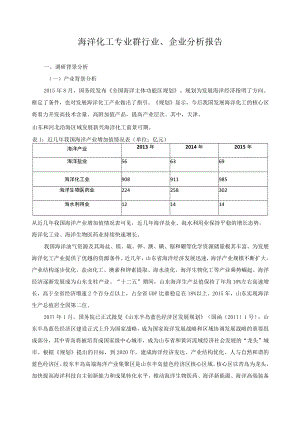 海洋化工专业群行业、企业分析报告.docx