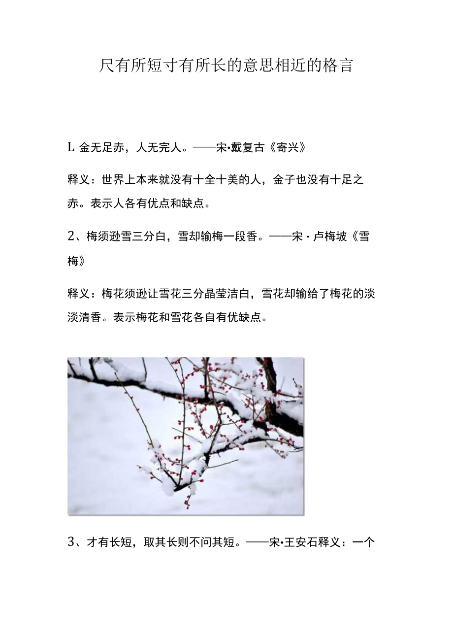 尺有所短寸有所长的意思相近的格言.docx_第1页