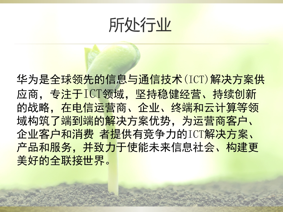 华为财务报表分析.pptx_第2页