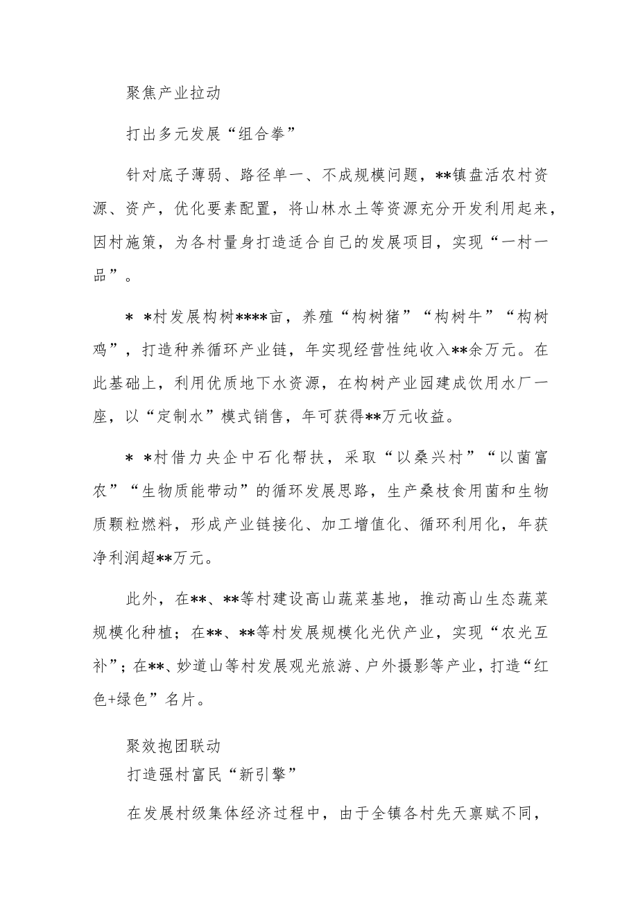 乡村振兴经验交流：统分结合走好致富路.docx_第2页