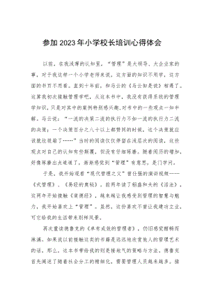 关于2023年小学校长培训的心得体会七篇.docx