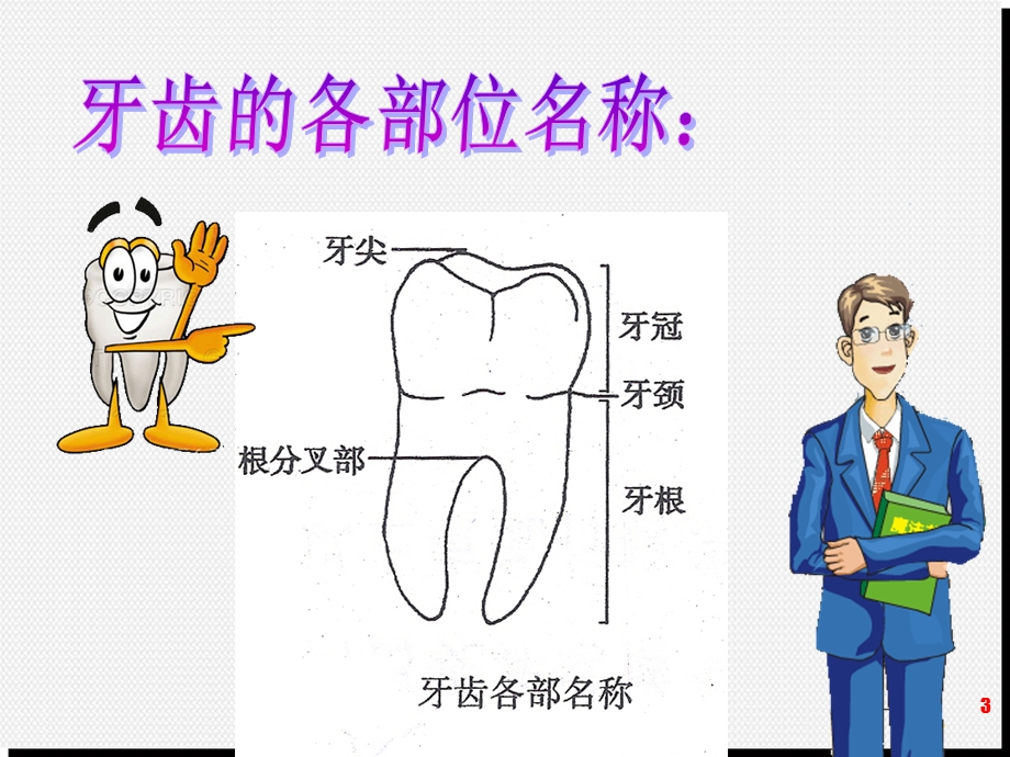 龋齿ppt医学课件.ppt_第3页