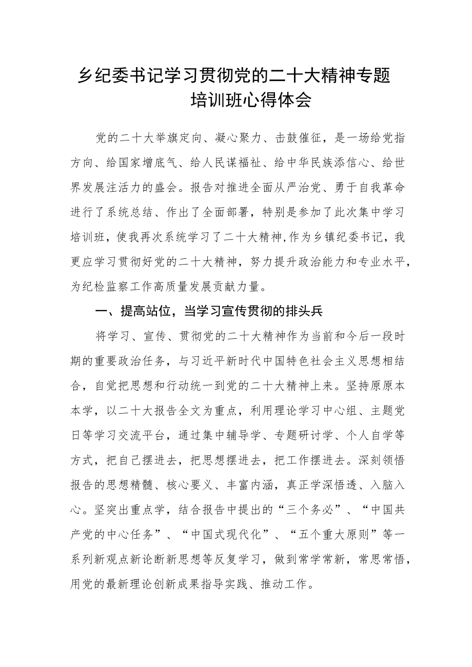 乡纪委书记学习贯彻党的二十大精神专题培训班心得体会.docx_第1页