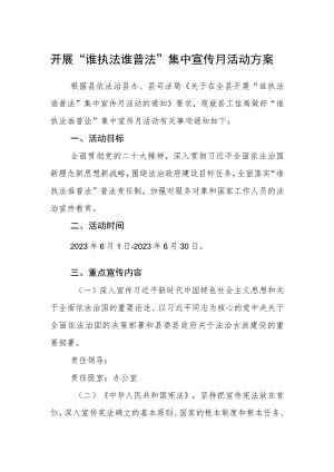 开展“谁执法谁普法”集中宣传月活动方案.docx