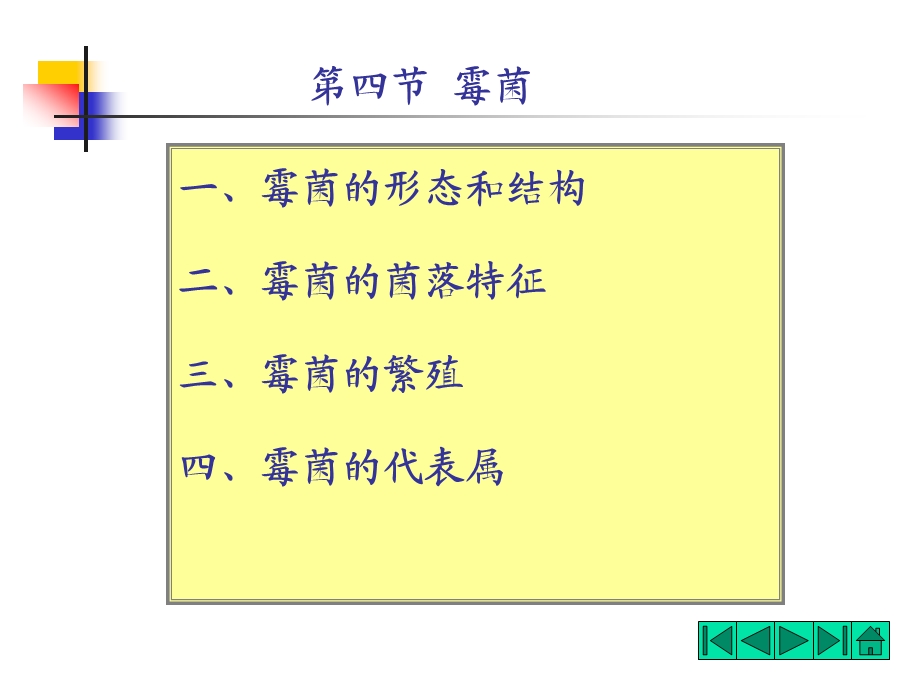 食品微生物—霉菌...ppt_第1页