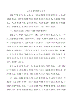 大兴调查研究动员强调.docx