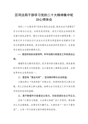 区司法局干部学习党的二十大精神集中轮训心得体会.docx