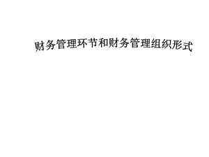 财务管理环节和财务管理组织形式.ppt