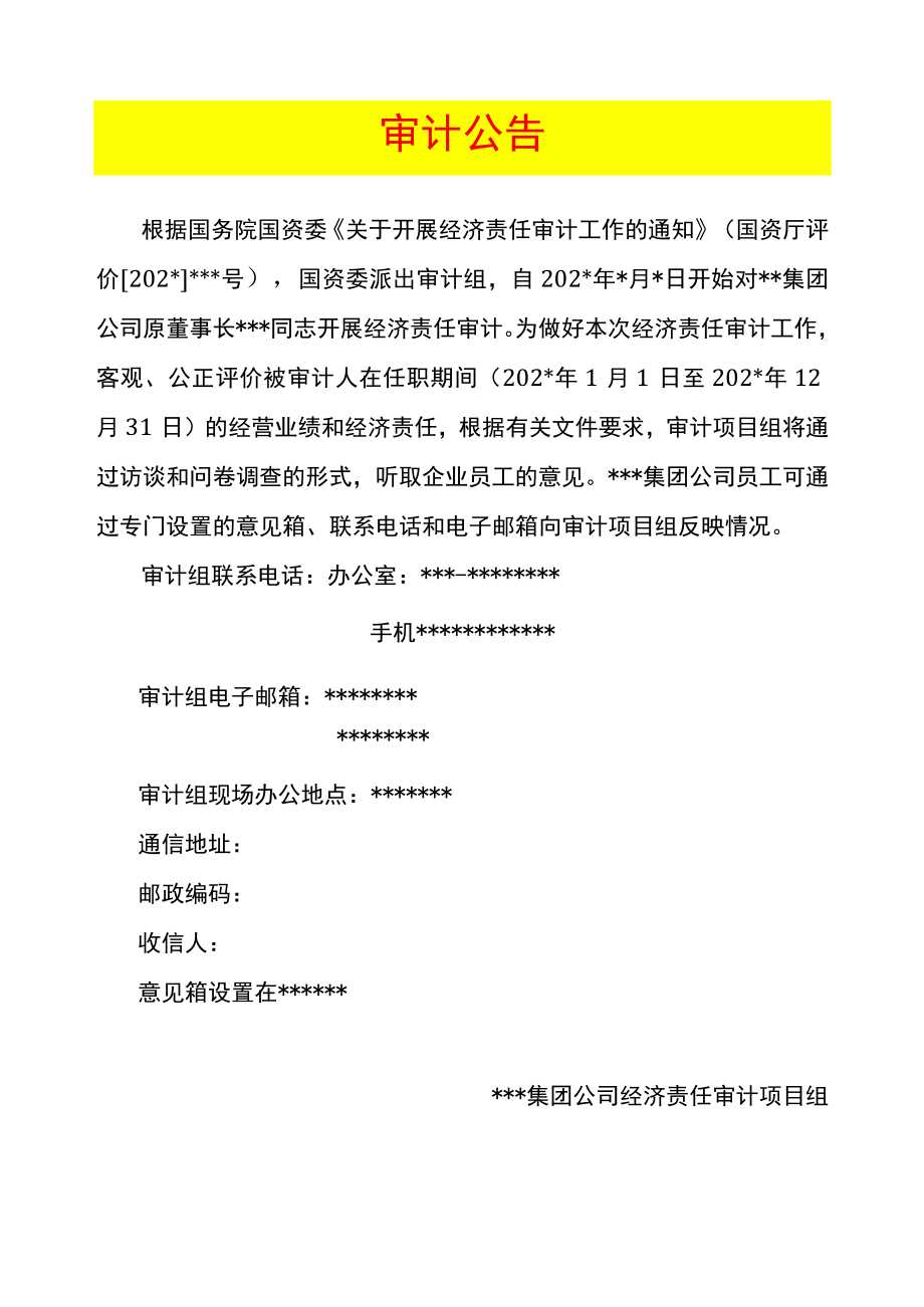 某集团经济责任审计公告-新增.docx_第1页